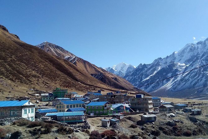 Langtang Valley Trekking - How the guide and porter service affects the trip