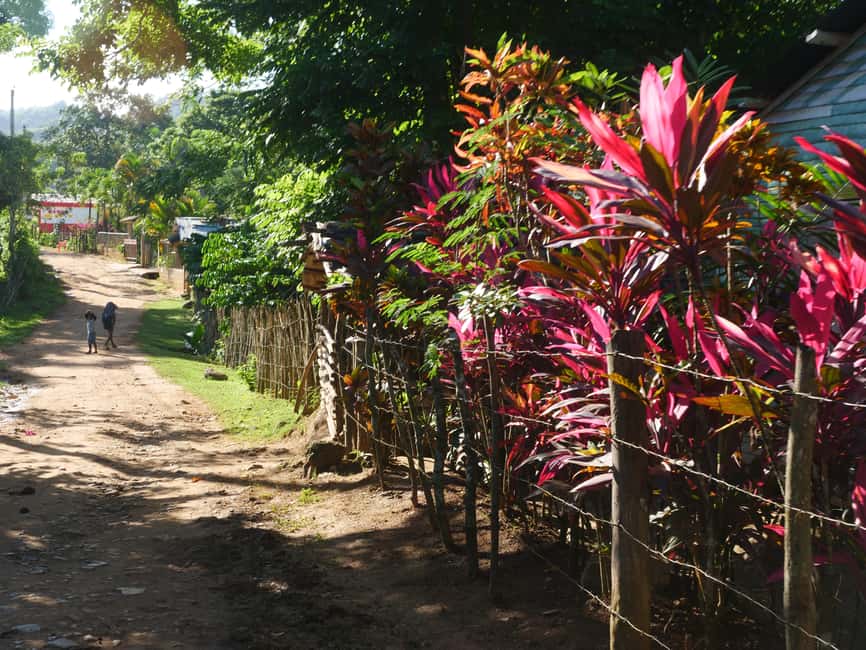 Las Terrenas: El Limón Waterfall Trekking Tour in Samana - Key points to know before you book