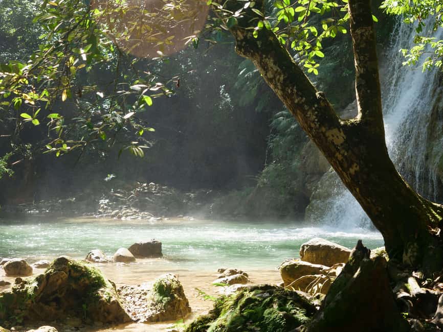 Las Terrenas: El Limón Waterfall Trekking Tour in Samana - Is $65 a fair price?