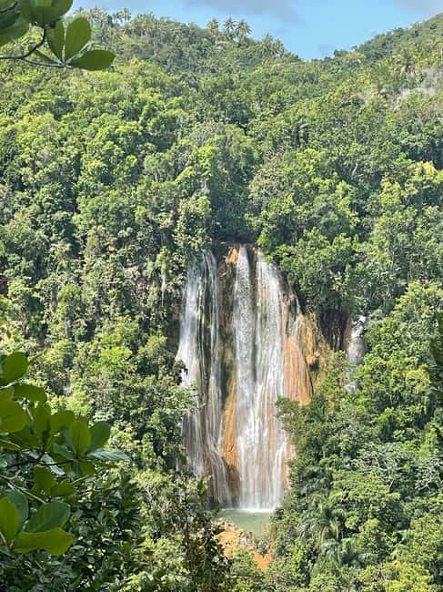 Las Terrenas: El Limón Waterfall Trekking Tour in Samana - The walk through cacao, coffee, and jungle