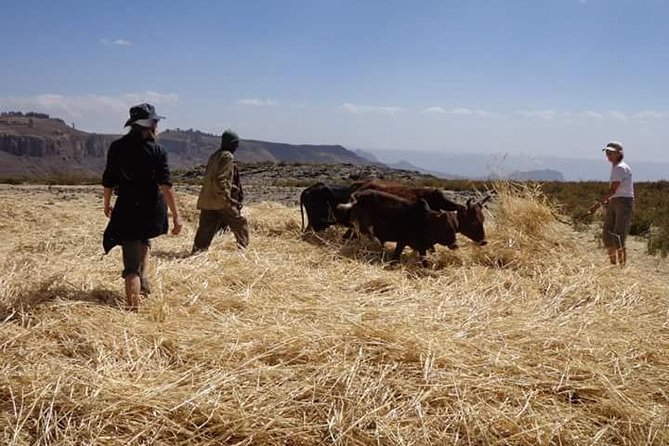 Lasta Mountains: Highland Eco Trekking Tour in Lalibela - Meeting farming communities along the way