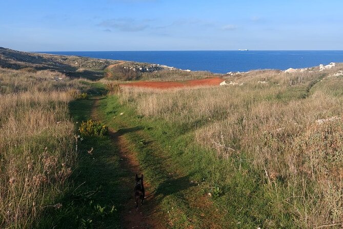 Lecce: Hike to Otranto with town visit – Half Day Trekking +Taxi - What the guide adds