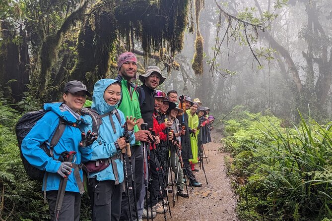 Lemosho Route 7 Days Trekking at Mount Kilimanjaro - Why the Lemosho Route is a smart seven-day choice