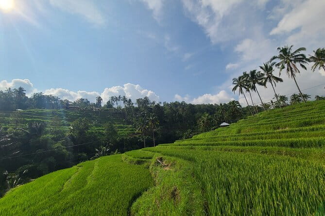 Lemukih Hidden Trekking Waterslide Sekumpul and Fiji Waterfall - Who should book this North Bali trek?