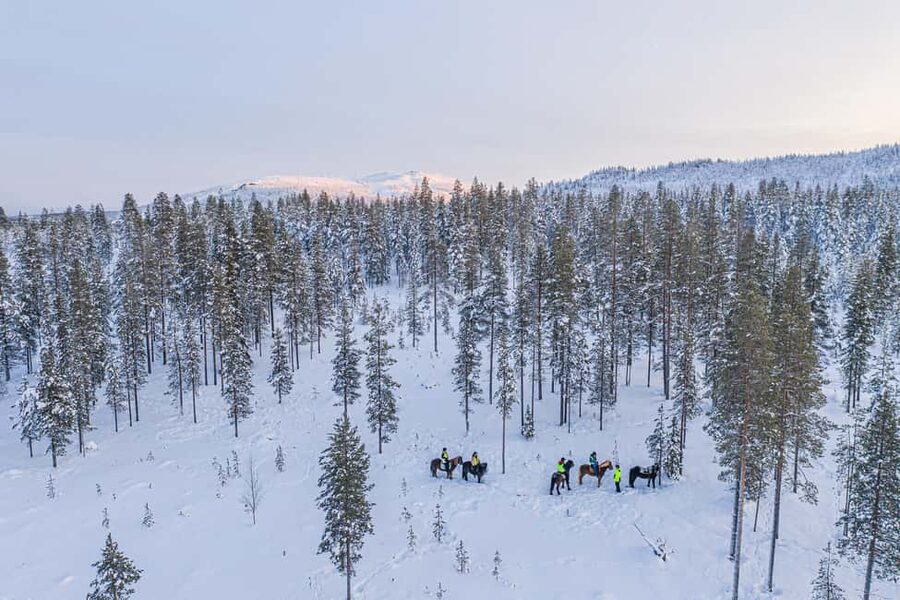Levi: Riding Trek with Icelandic Horses - Five things to know before riding