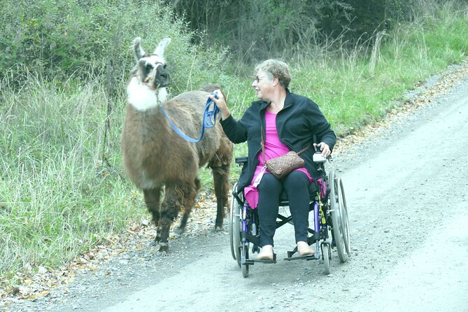 Llama Trek (Taster) - Kowhai River Valley and Native Woodland Tour - Why 90 minutes can be the right length