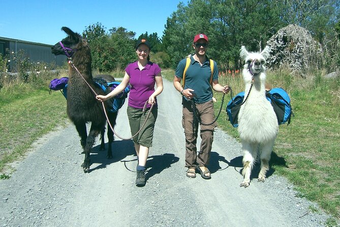 Llama Trek (Taster) - Kowhai River Valley and Native Woodland Tour - Access, meeting point, and practical planning