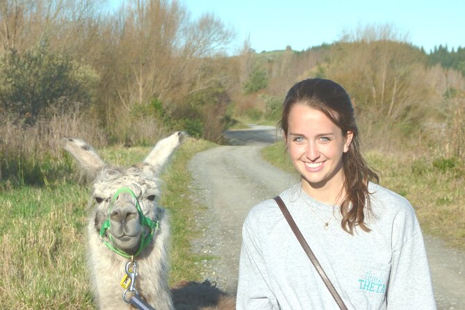 Llama Trek (Taster) - Kowhai River Valley and Native Woodland Tour - Who will enjoy this most?