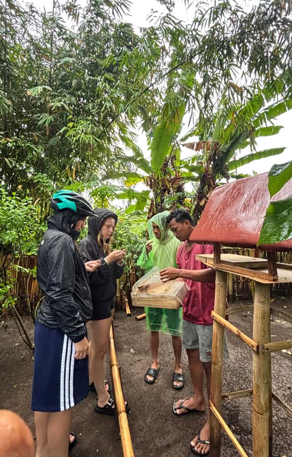 Lombok: Off-Road ATV Ride, Jungle Trek & Waterfall Escape - Traditional Lombok lunch and local flavor