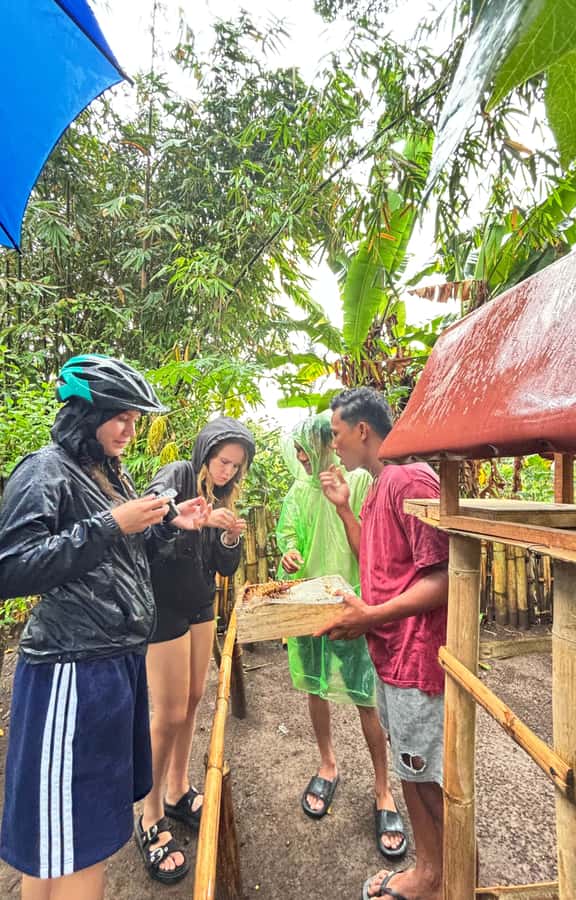 Lombok: Off-Road ATV Ride, Jungle Trek & Waterfall Escape - Comfort, timing, and small practical concerns