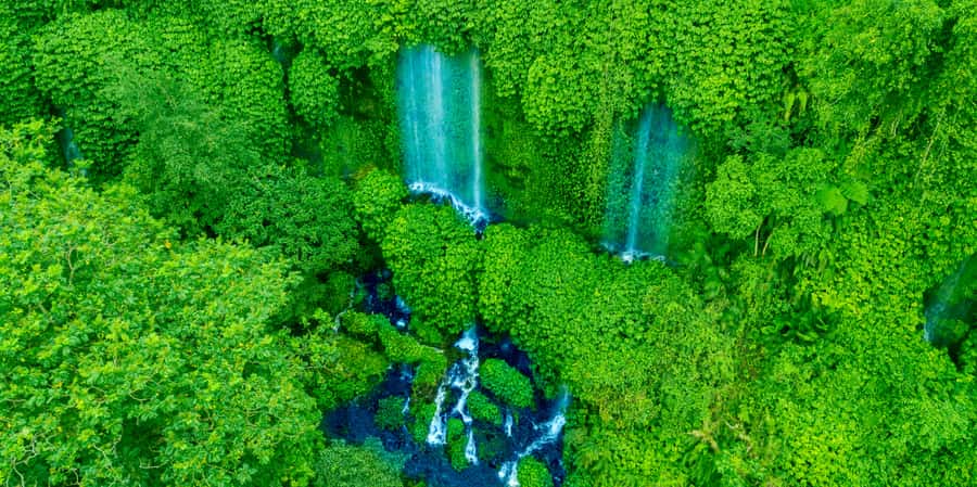 Lombok: Off-Road ATV Ride, Jungle Trek & Waterfall Escape - The 30 to 45 minute ATV ride through rice country