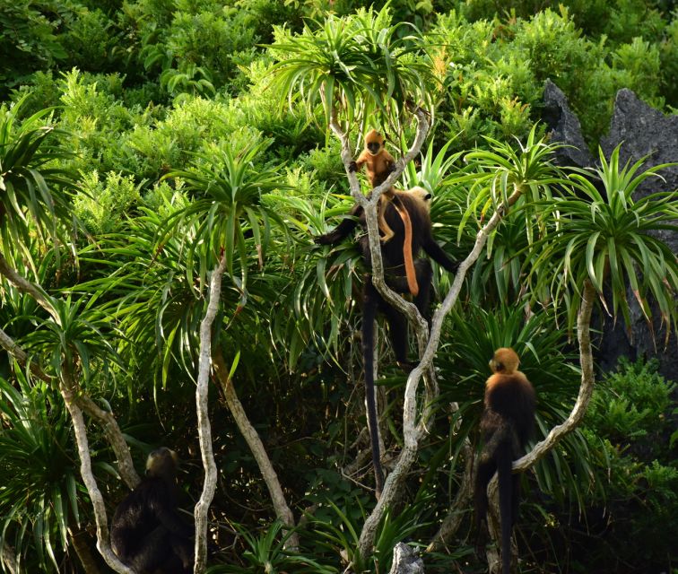 Long Trekking Catba national park, Lan ha bay full day trip - A nine-hour day that keeps changing pace