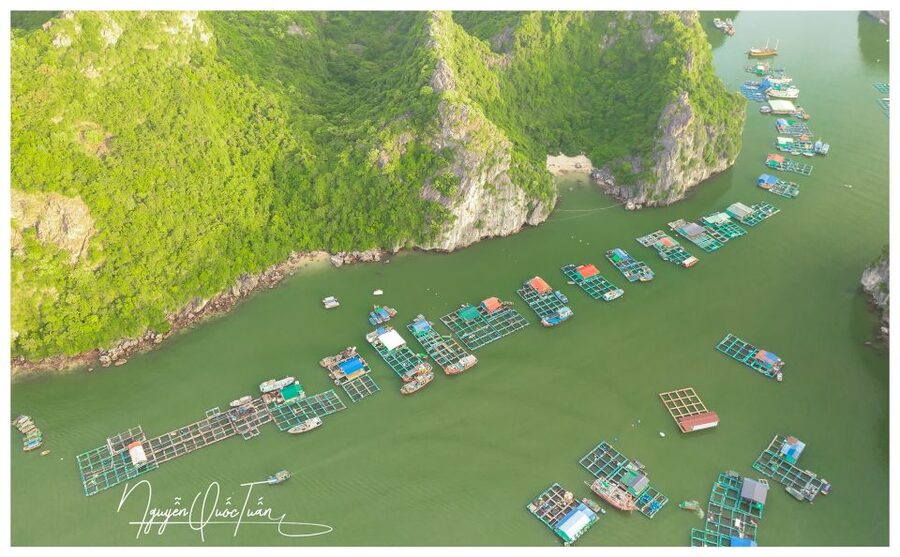 Long Trekking Catba national park, Lan ha bay full day trip - Lunch and bicycles in Viet Hai village