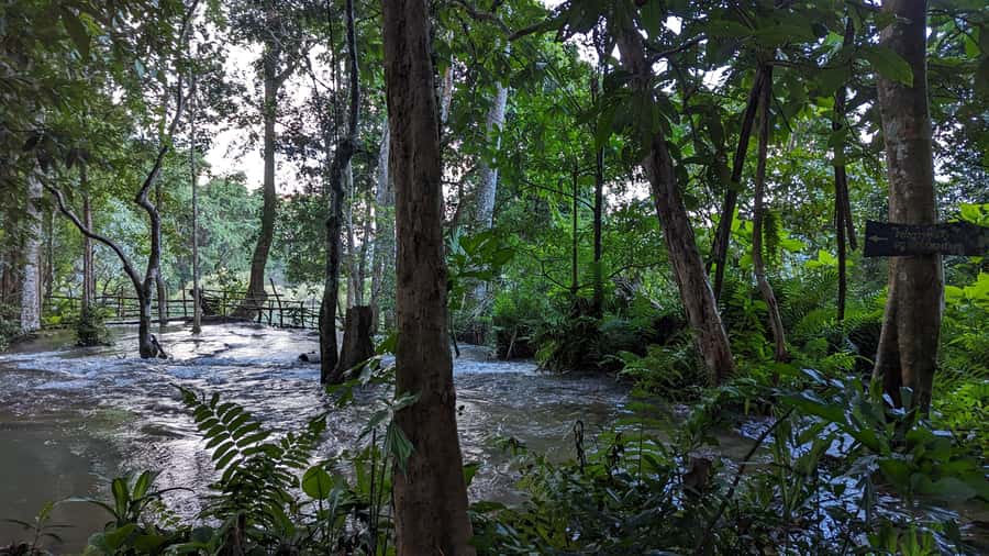 Luang Prabang: Full Day Trek to Kuang Si Waterfall & Village - Four Hours Through Fields and Forest
