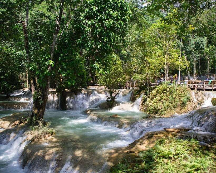 Luang Prabang Thin Pha Trail & Tad Sae Falls Trek - An early start from Luang Prabang