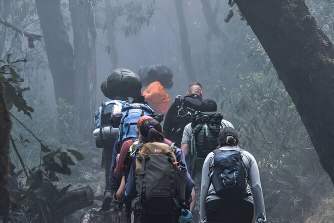 Machame Route 7-Day Private Kilimanjaro Trek - Day 1: Machame Gate to Machame Camp