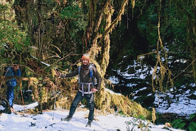 Madri Himal Trek - Day 4: Forest Camp to Low Camp and High Camp