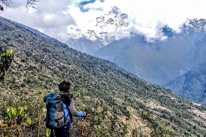 Madri Himal Trek - Day 5: Mardi Himal Base Camp at 4,500 meters
