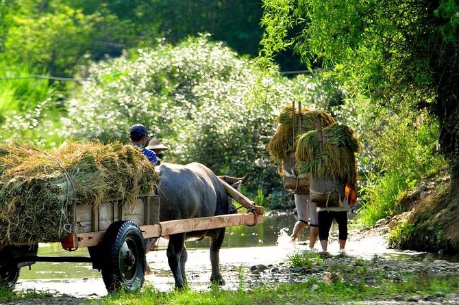 Mai Chau - Pu Luong trekking 3 days 2 nights - What the homestays are really like