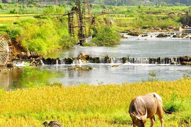 Mai Chau - Pu Luong trekking 3 days 2 nights - Guides, drivers, and the value of a private departure
