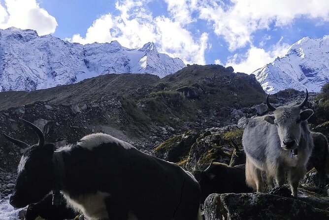 Manaslu Circuit Trek: - Key points at a glance