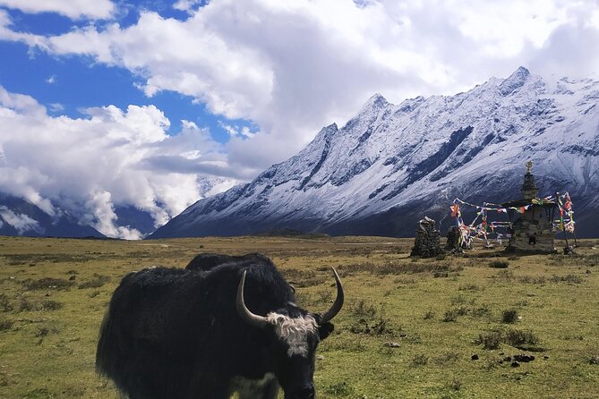 Manaslu Circuit Trek: - Acclimatization in Samagaun
