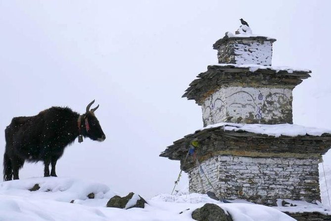 Manaslu Circuit Trekking - 17 Days - Day 13: Crossing Larke La at 5,213 meters