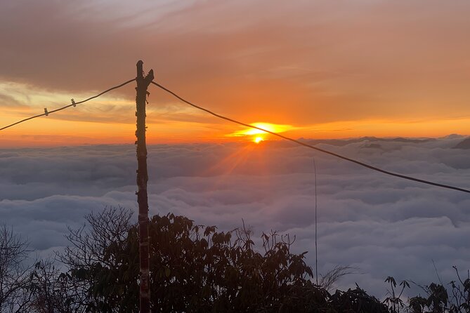 Mardi Himal Base Camp Trek - Day 5: Forest Camp to Low Camp at 2,990 meters