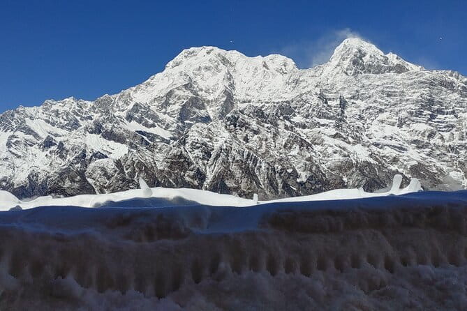 Mardi Himal Trek - Day 2: Forest Camp, Low Camp, and the push toward High Camp