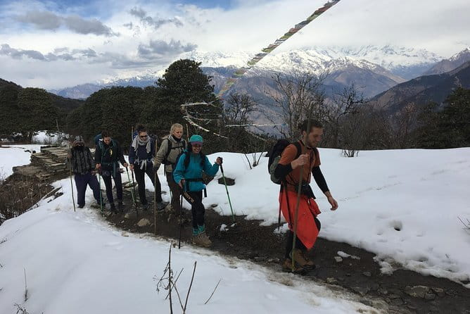 Mardi Himal Trek -5 Day Short Trek From Pokhara - Day 3: Low Camp to High Camp and the first big panorama