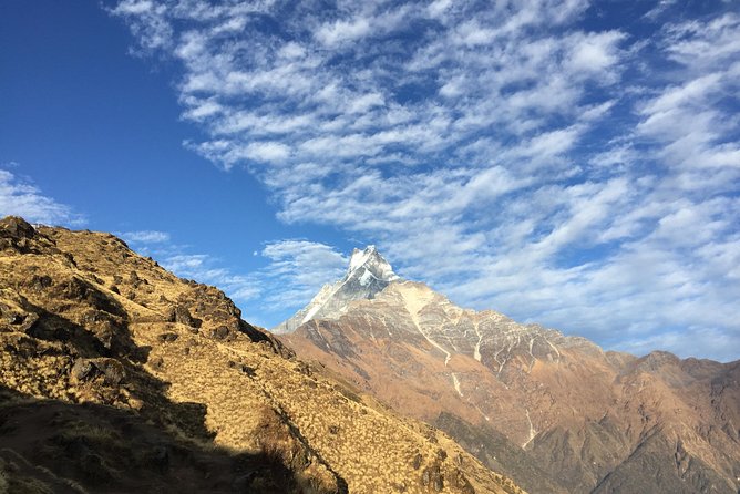 Mardi Himal Trek - 8 Days | Hidden Gem of the Annapurnas - Day 4: Forest Trails and Fewer People