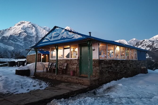 Mardi Himal Trek - 8 Days | Hidden Gem of the Annapurnas - Day 7: A Long Descent and Pokhara Evening