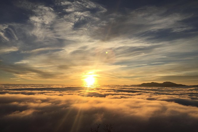 Mardi Himal Trek - 8 Days | Hidden Gem of the Annapurnas - Day 1: Thamel Gives You Time to Prepare