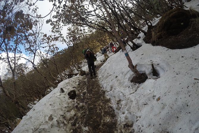 Mardi Himal Trekking - The mountain ridge and the Fishtail view