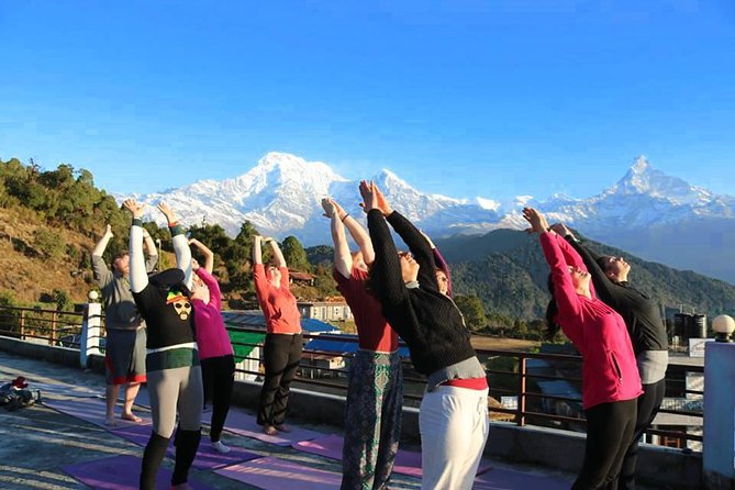 Mardi Himal Yoga Trek - Key points to know before booking