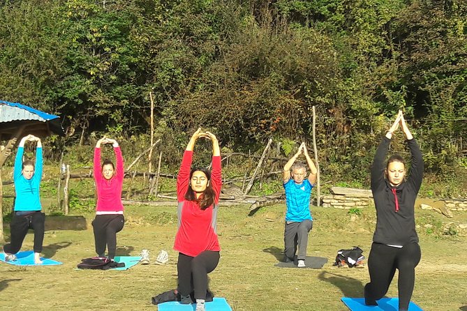 Mardi Himal Yoga Trek - Day 3: The long road to Pokhara