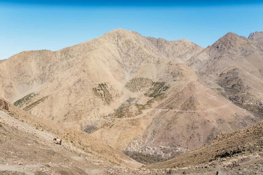 Marrakech: 2-Day Atlas Mountains Trek with Village Stay - Guides, cooks, and the mule support