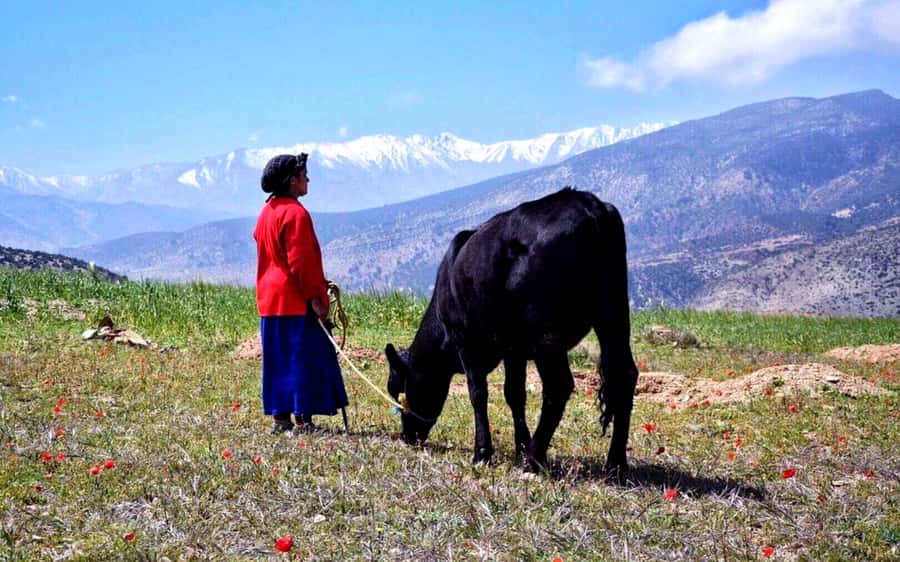 Marrakech: 2-Day Atlas Villages Trekking Tour - From Marrakech to the first argan stop