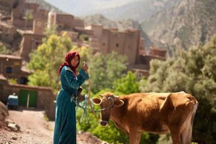 Marrakech: 2 Day Trek Atlas Mountains & Taoudja Summit 2724M - Lunch with a Berber family before the drive back
