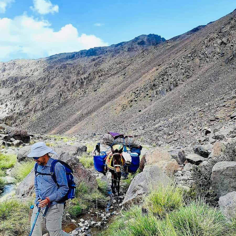 Marrakech: 3-Day Atlas Mountains Berber Villages Trek - Who should book this trek?