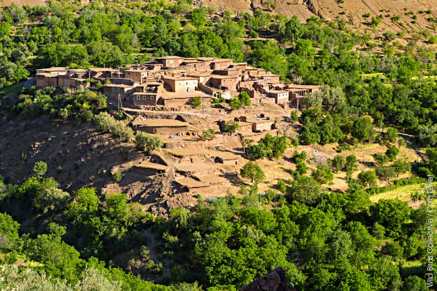 Marrakech: 3-Day High Atlas Mountains and Three Valleys Trek - Key points to know before booking