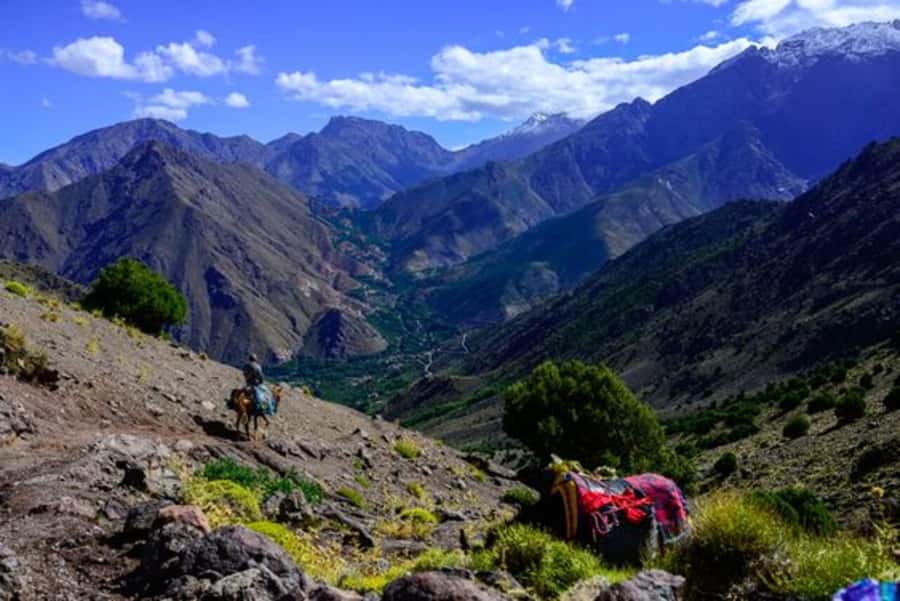 Marrakech: 3-Day High Atlas Mountains and Three Valleys Trek - Who should book this trek?