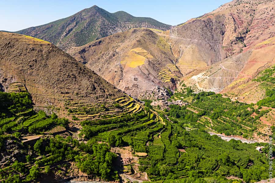 Marrakech: 3-Day High Atlas Mountains and Three Valleys Trek - Guesthouses: welcoming, simple, and not hotel standard