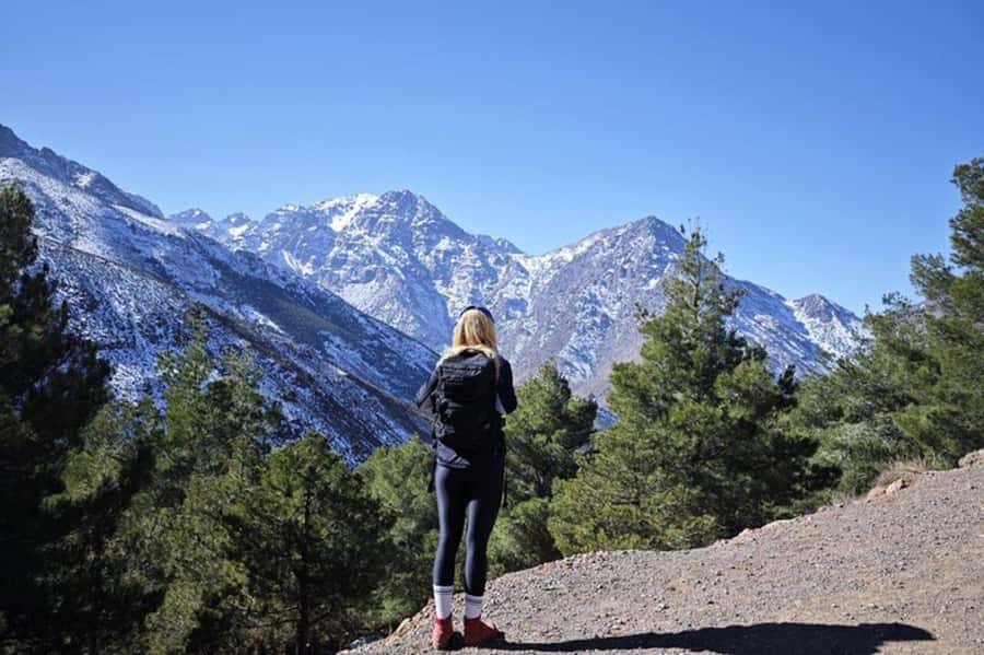 Marrakech: Atlas Mountains Summit Day Trek 2700m - Who should take this trek?