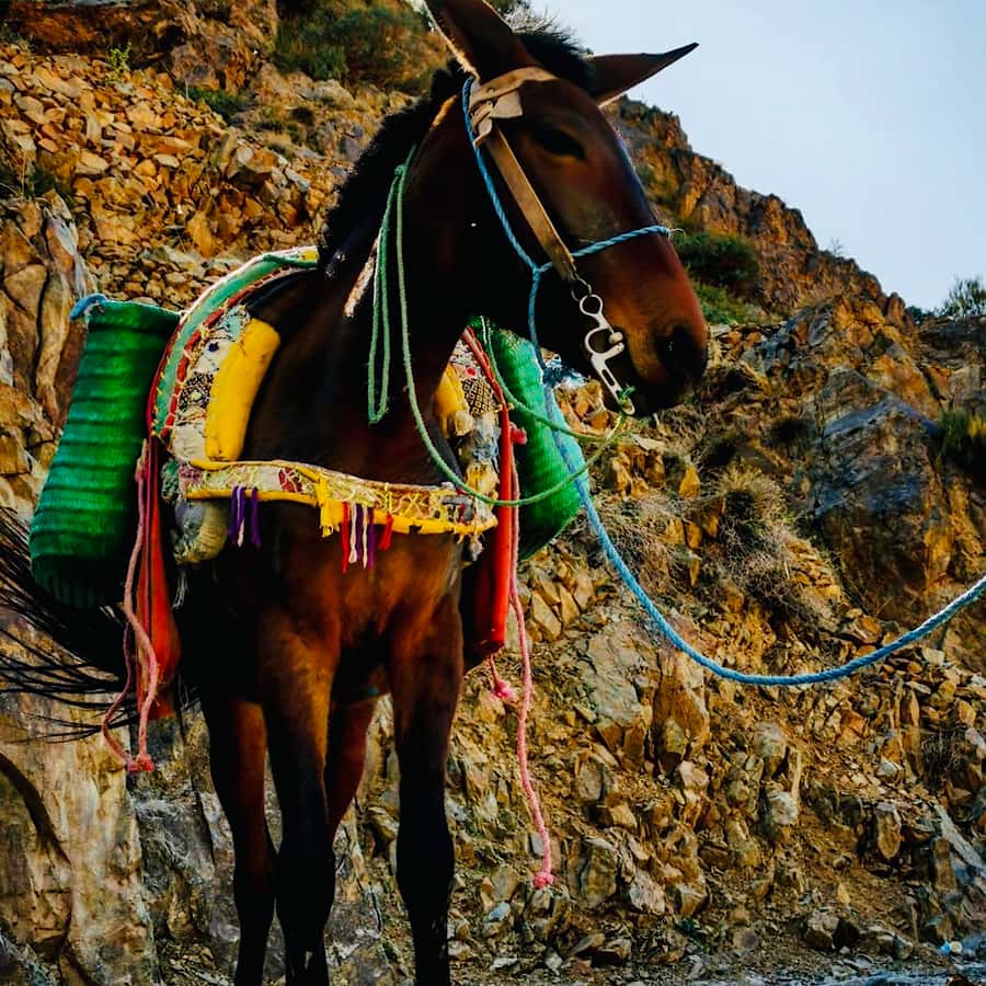 Marrakech: Guided 2-Day Trek to Imlil and Imnan Valleys - Day Two: Farming Villages and Tizi n’Aguersioual