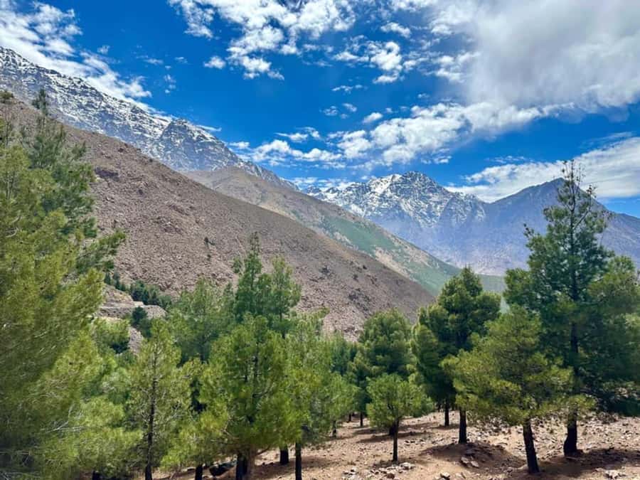 Marrakech: High Atlas Tedali Summit Guided Day Trek - Why this Atlas Mountains day trip is worth considering