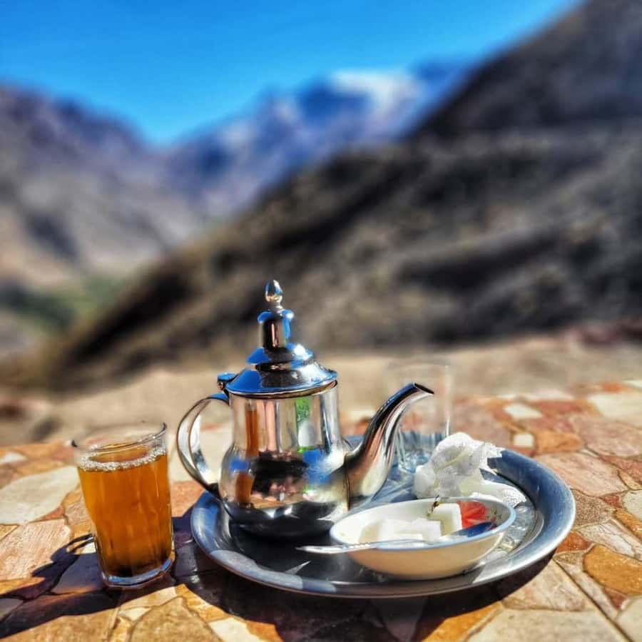 Marrakech: High Atlas Tedali Summit Guided Day Trek - The guide and the small-group experience