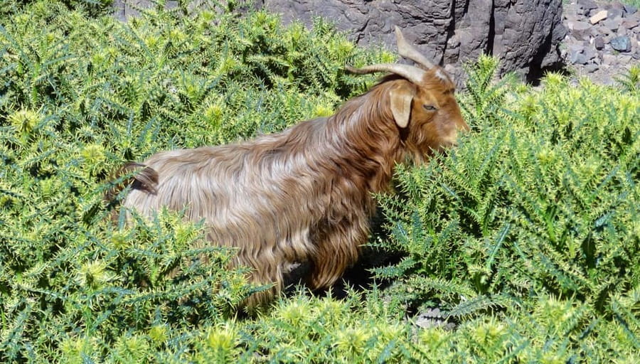 Marrakech: Mount Toubkal 2-Day trek from Marrakech - Spending the night at Toubkal Refuge