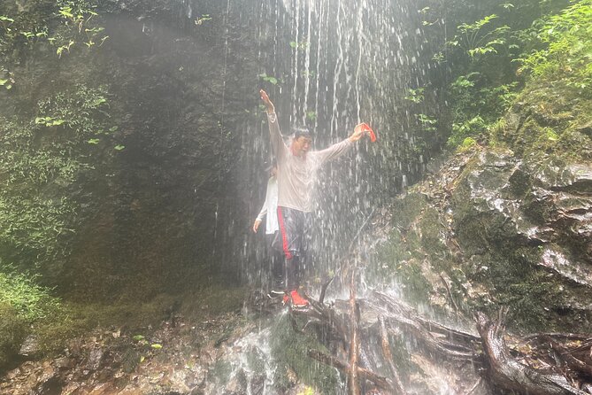 Matt Canyon River Trekking Nishiwaga Town, Iwate Prefecture - Summer Plants, Birds, Insects, and Unexpected Wildlife