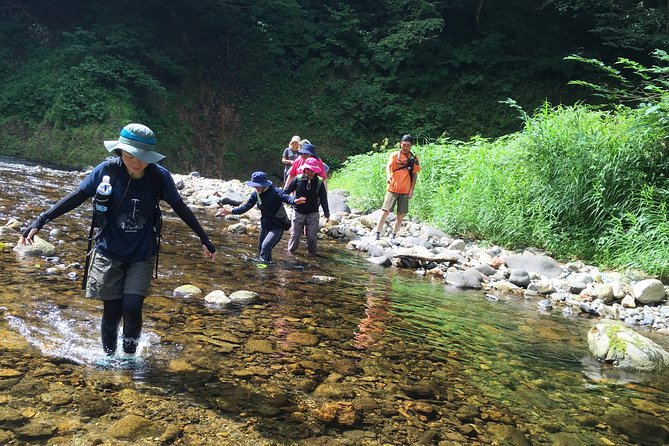 Matt Canyon River Trekking Nishiwaga Town, Iwate Prefecture - Weather, Seasonal Timing, and What to Expect